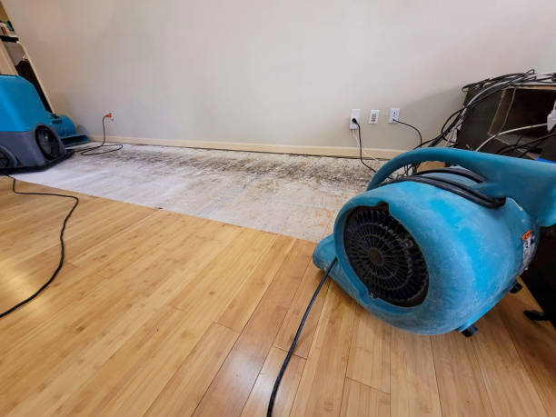 Professional Water Extraction technician working in Dansville, MI